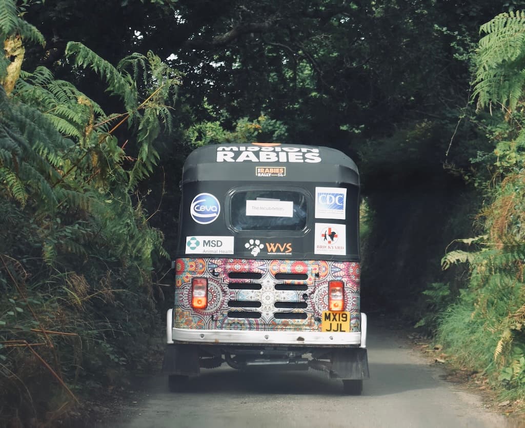 Pattern on the tuk tuk